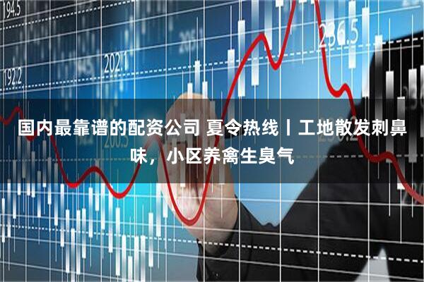 国内最靠谱的配资公司 夏令热线丨工地散发刺鼻味，小区养禽生臭气