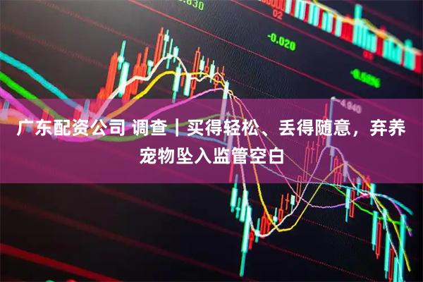广东配资公司 调查｜买得轻松、丢得随意，弃养宠物坠入监管空白
